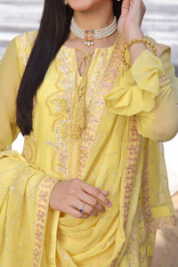 Roohi Chiffon D-12