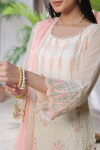 Roohi Chiffon D-14