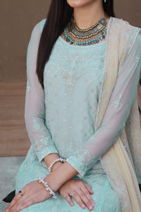 Roohi Chiffon D-15