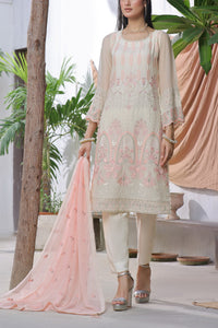 Roohi Chiffon D-14