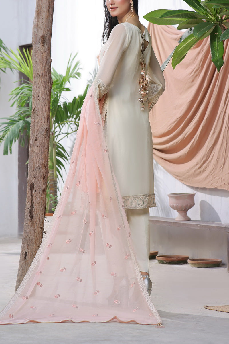 Roohi Chiffon D-14