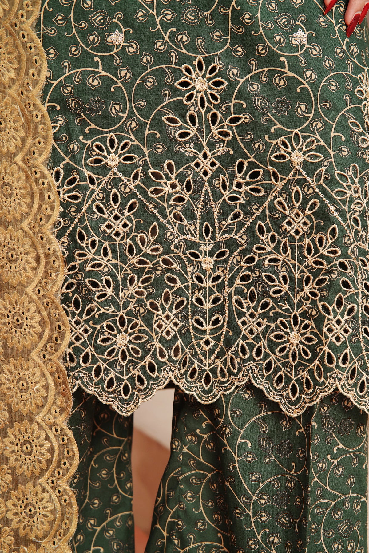 Aiza Momina Chikankari D-55