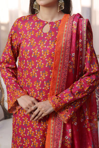 Aiza Momina Chikankari D-66