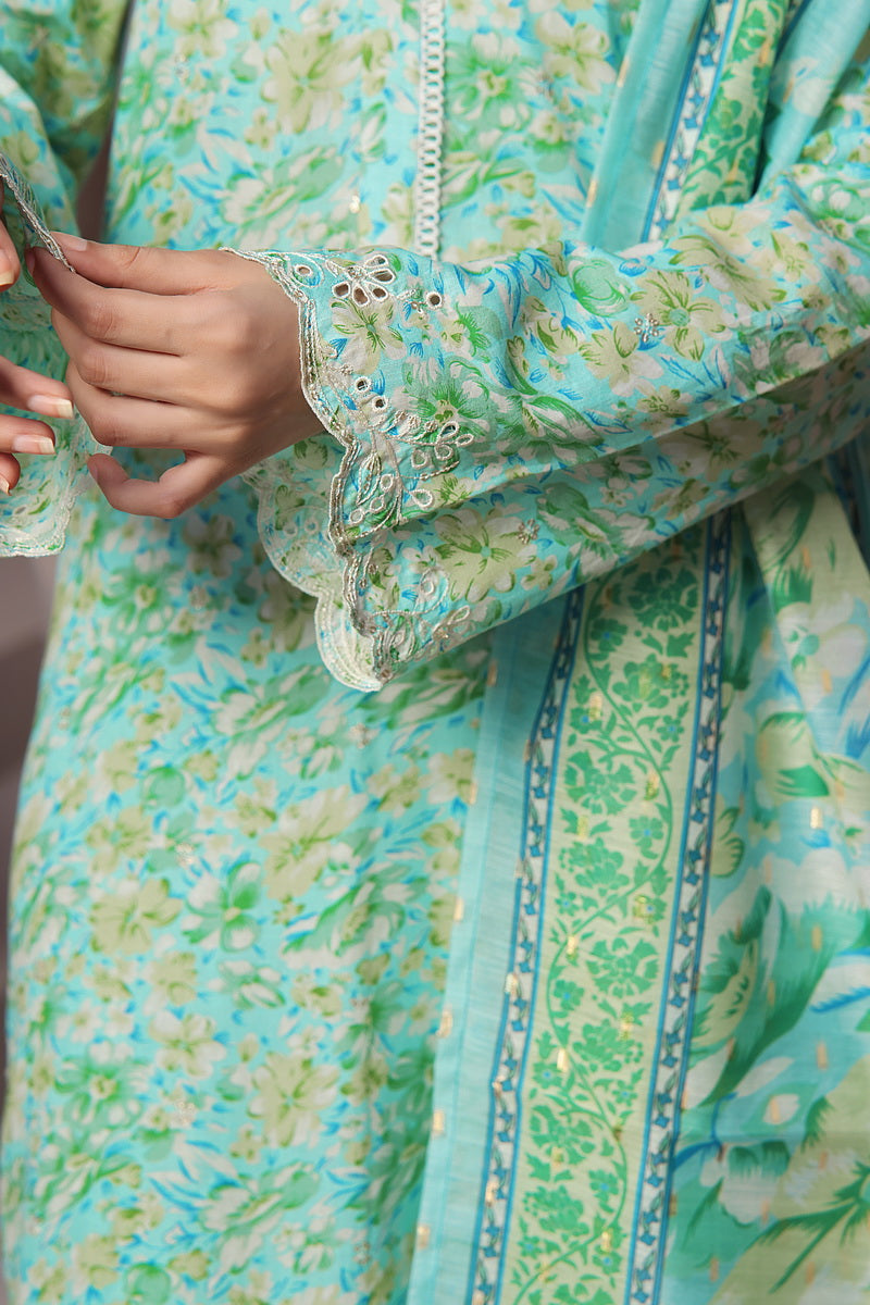 Aiza Momina Chikankari D-69